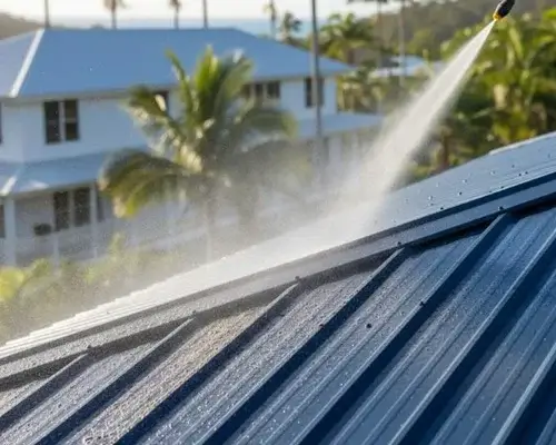 Metal Roof Cleaning Sale