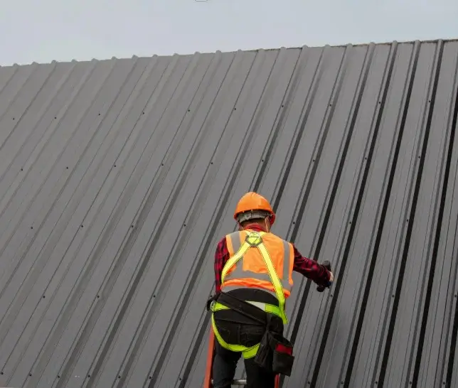 Roof Painting in Sale – Transform Your Home