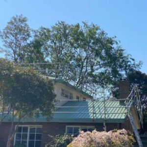 Metal Roofing