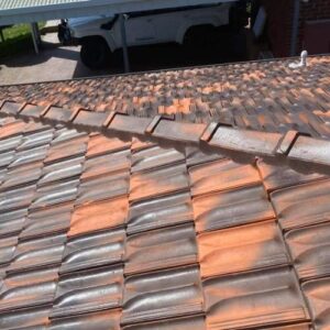 Roof cleaning - tile