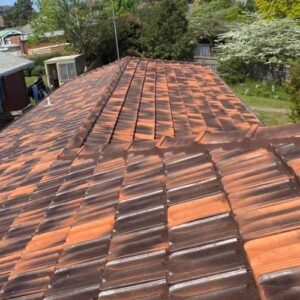 Roof cleaning