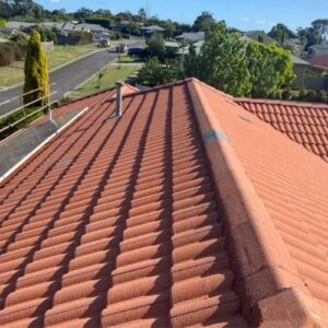 Tile Roof Restoration and Painting
