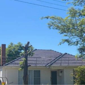Tile Roof Restoration and Painting