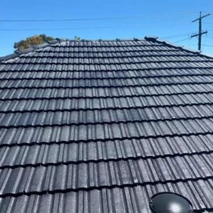 Tile Roof Restoration and Painting