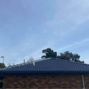 Tile Roof Restoration and Painting