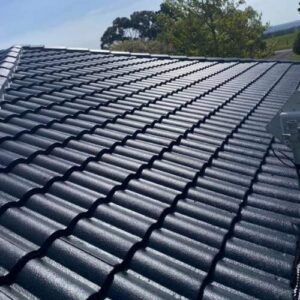 Tile Roof Restoration and Painting