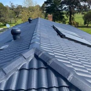 Tile Roof Restoration and Painting