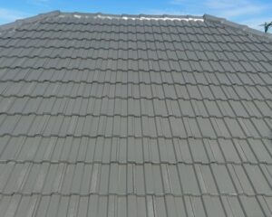 roof restoration and painting Sale