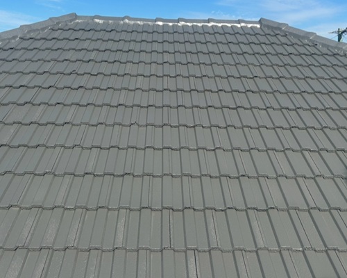 roof restoration and painting Sale